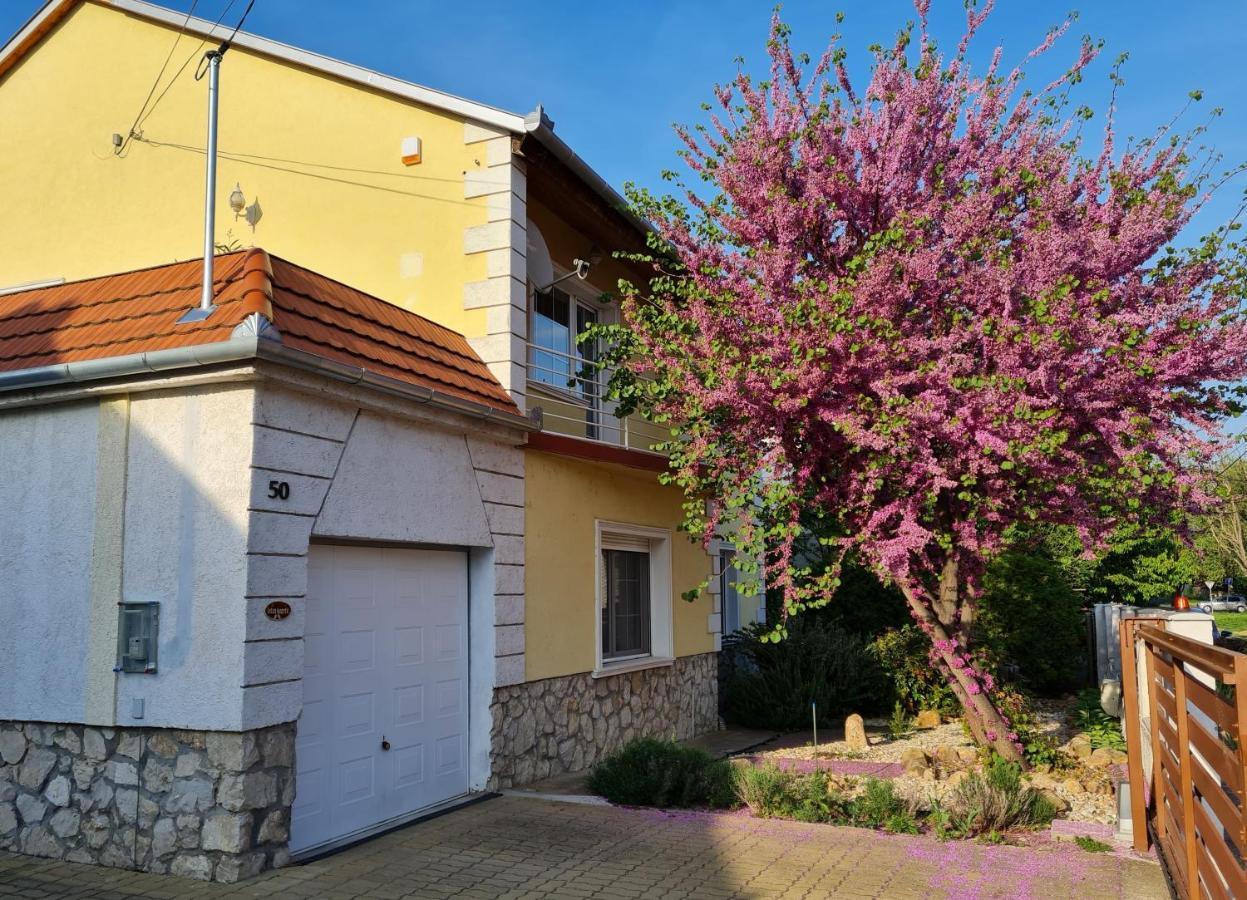 Ginger House Apartment Кестели Екстериор снимка
